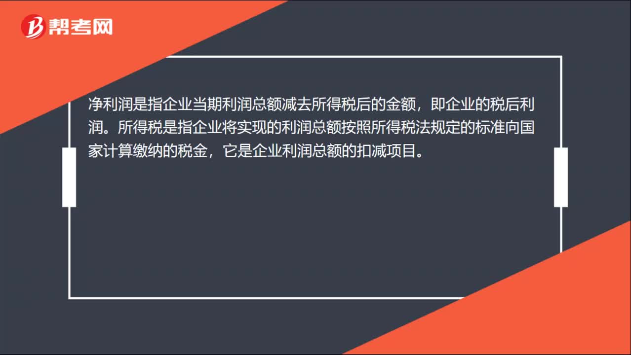 股东净利润是什么？